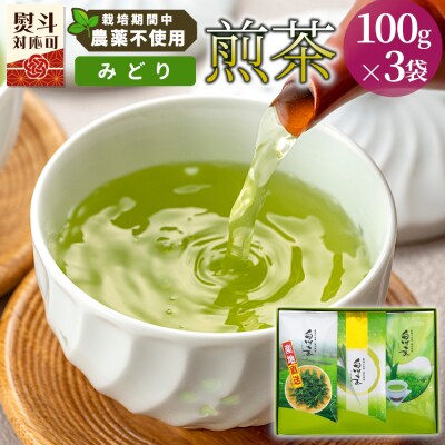 栽培期間中 農薬不使用! 煎茶 ギフト NO.29 (みどり100g×3袋) 常磐園 日本茶