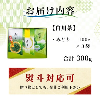 栽培期間中 農薬不使用! 煎茶 ギフト NO.29 (みどり100g×3袋) 常磐園 日本茶