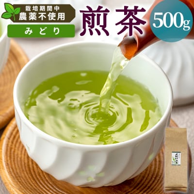 栽培期間中 農薬不使用! 煎茶 みどり 500g 常磐園 日本茶 緑茶 煎茶