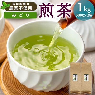 栽培期間中 農薬不使用! 煎茶 みどり 1kg (500g×2袋) 常磐園 日本茶 緑茶 煎茶