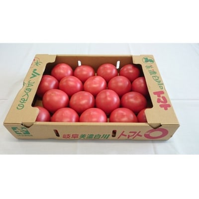 桃太郎トマト 4kg A等級 Lサイズ トマト 美濃白川 夏秋トマト