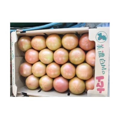 桃太郎トマト 4kg A等級 Lサイズ トマト 美濃白川 夏秋トマト