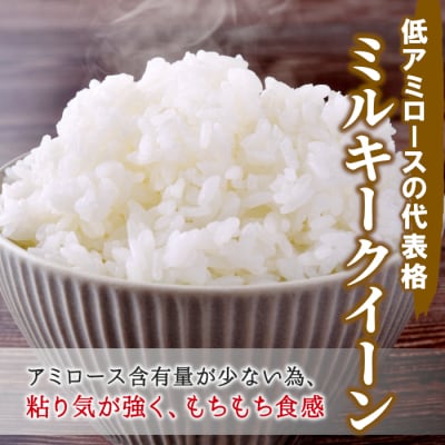 令和7年産 ミルキークイーン 白米 5kg 岐阜県産 精米