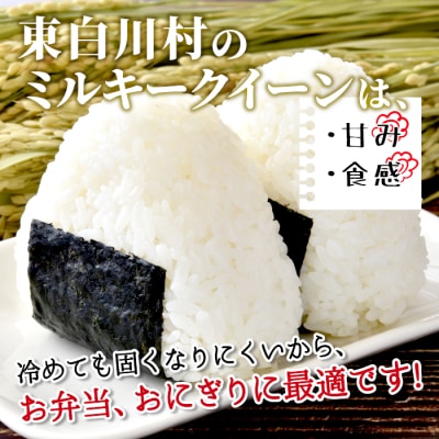 令和7年産 ミルキークイーン 白米 5kg 岐阜県産 精米