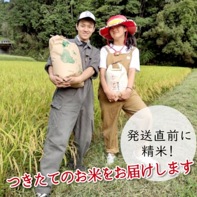 令和7年産 ミルキークイーン 白米 5kg 岐阜県産 精米