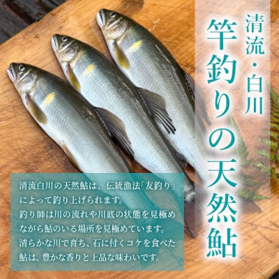 清流白川 天然鮎 8尾 冷凍 鮎 あゆ 川魚 東白川村産