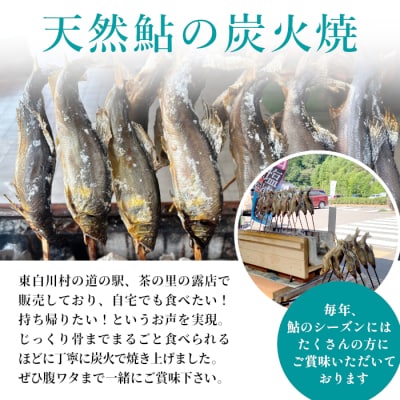 清流白川 天然鮎の塩焼き 5尾 冷凍 鮎 あゆ 川魚 東白川村産