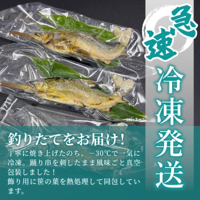 清流白川 天然鮎の塩焼き 5尾 冷凍 鮎 あゆ 川魚 東白川村産
