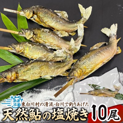 清流白川 天然鮎の塩焼き 10尾 冷凍 鮎 あゆ 川魚 東白川村産