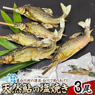 清流白川 天然鮎の塩焼き 3尾 冷凍 鮎 あゆ 川魚 東白川村産