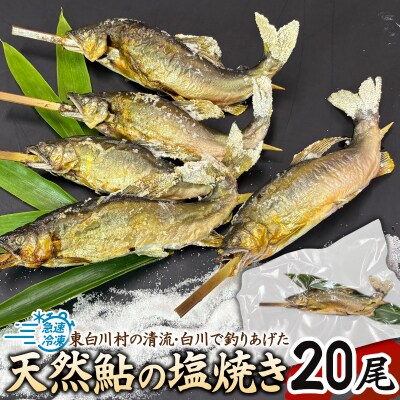 清流白川 天然鮎の塩焼き 20尾 冷凍 鮎 あゆ 川魚 東白川村産