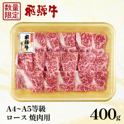 《数量限定》飛騨牛 ロース 焼肉用 400g BBQ キャンプ 肉のひぐち
