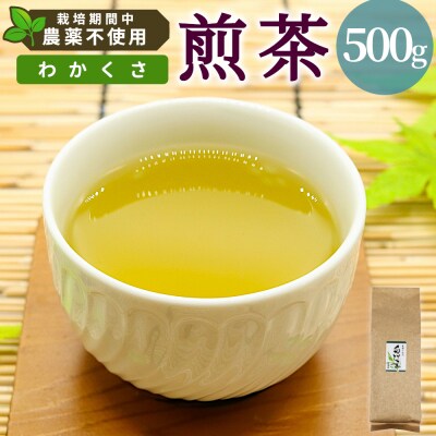 栽培期間中 農薬不使用! 煎茶 わかくさ 500g 常磐園 日本茶 緑茶 煎茶