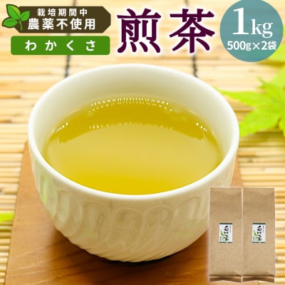 栽培期間中 農薬不使用! 煎茶 わかくさ 1kg (500g×2袋) 常磐園 日本茶 緑茶 煎茶