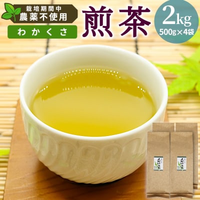 栽培期間中 農薬不使用! 煎茶 わかくさ 2kg (500g×4袋) 常磐園 日本茶 緑茶 煎茶