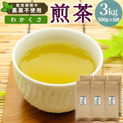 栽培期間中 農薬不使用! 煎茶 わかくさ 3kg (500g×6袋) 常磐園 日本茶 緑茶 煎茶