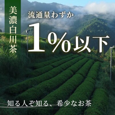 栽培期間中 農薬不使用! 煎茶 わかくさ 3kg (500g×6袋) 常磐園 日本茶 緑茶 煎茶
