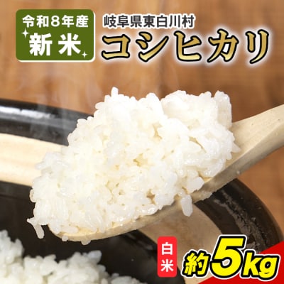 令和8年産 コシヒカリ 約5kg 東白川村産 米 白米 精米 田代ライス