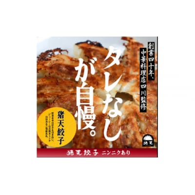 四川監修タレなし生餃子「猪天餃子」3種類各2点のセット
