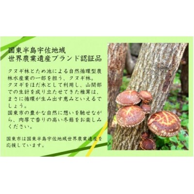 乾し椎茸 冬菇110g(国東半島宇佐地域世界農業遺産ブランド認証品)_1887R