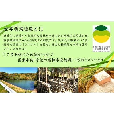 乾し椎茸 冬菇180g(国東半島宇佐地域世界農業遺産ブランド認証品)_1886R