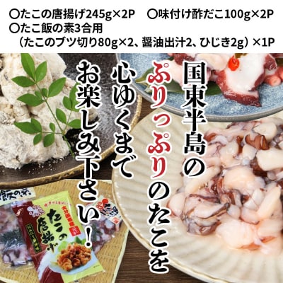 漁師直伝のおススメ!プリップリのたこ料理3種セット_29243A 