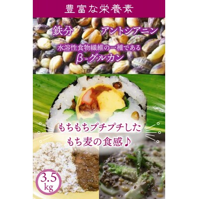くにさき紫もち麦3.5kg_1051R