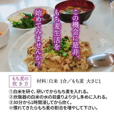 くにさき紫もち麦3.5kg_1051R