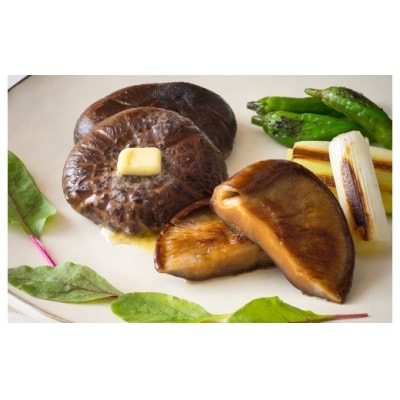 まさに森のアワビ!ステーキ用肉厚乾し椎茸「香菇」240g_1085Z
