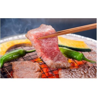 おおいた豊美牛リブロース焼肉用500g_1772R