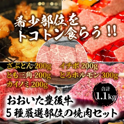 おおいた豊後牛5種厳選部位の焼肉セット1.1kg_1161R