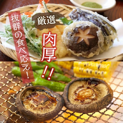 肉厚干し椎茸と本当においしい椎茸佃煮の詰合せ_1165R