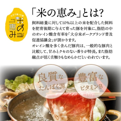 おおいた和牛と米の恵み豚のしゃぶしゃぶ対決/計1.1kg_1215R