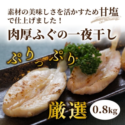 ふっくらプリプリ!肉厚ふぐの一夜干し0.8kg_0116N