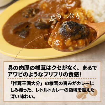 おおいたイチ押し!!豊後きのこカレー10食分_1295R