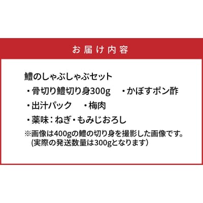 豊後はものしゃぶしゃぶ300gセット_1319R