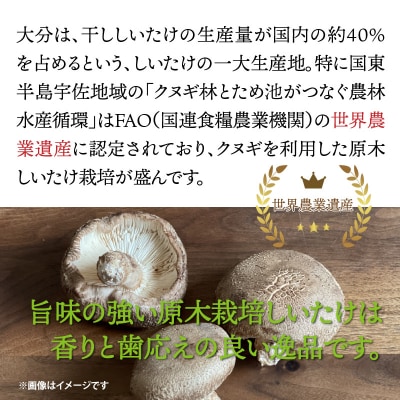 香ばしさ満点!原木椎茸の姿煎餅10袋_0130N