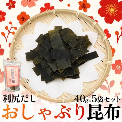 北海道利尻産 おしゃぶり利尻昆布40g×5袋[No5888-0554]