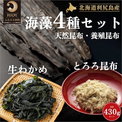 利尻島産 4種の海藻セット(天然利尻昆布・養殖利尻昆布・とろろ昆布・塩蔵生わかめ)[1030021]
