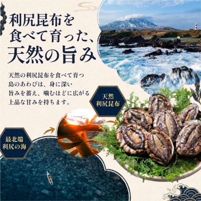 利尻島産 天然蝦夷あわび1kg(冷凍)[No5888-0580]