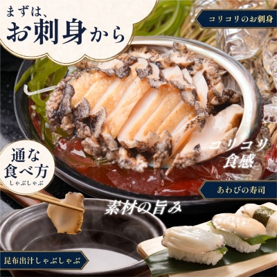 利尻島産 天然蝦夷あわび1kg(冷凍)[No5888-0580]