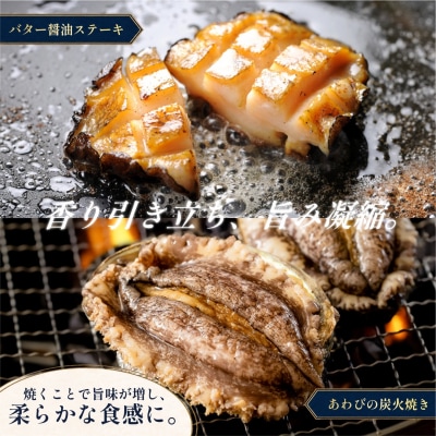 利尻島産 天然蝦夷あわび1kg(冷凍)[No5888-0580]