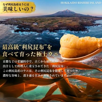 【2026年発送受付】漁師厳選!利尻天然うに"プレミアム"ムラサキウニ 100g[1060075]