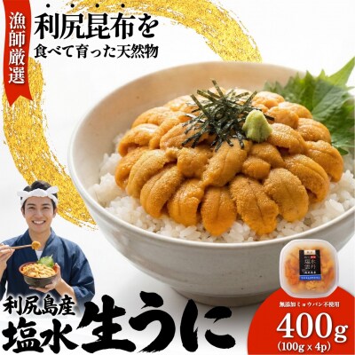 【2026年発送受付】漁師厳選!利尻産キタムラサキウニ400g(100g×4p)[1060090]