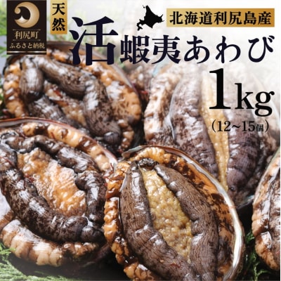 【10月～12月発送】天然蝦夷『活』アワビ1kg 利尻島産 昆布育ちの美味しい鮑[1060002]