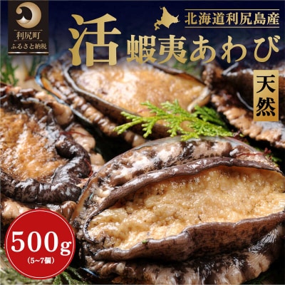 【2025年発送受付】北海道利尻島産 天然〈活〉蝦夷アワビ500g(5～7個)