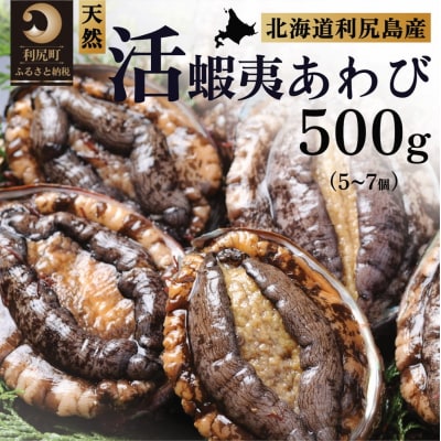【10月～12月発送】天然蝦夷『活』アワビ500g 利尻島産 昆布育ちの美味しい鮑[1060002]