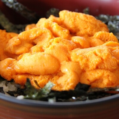 北海道利尻島産「朝どり」生うに塩水パック80g(蝦夷バフンウニ)[No5888-0658] | ふるさと納税のお礼品