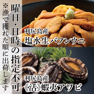 北海道利尻島産 塩水生バフンウニ100g 2 天然 活 アワビ500g No58 0746 お礼品詳細 ふるさと納税なら さとふる