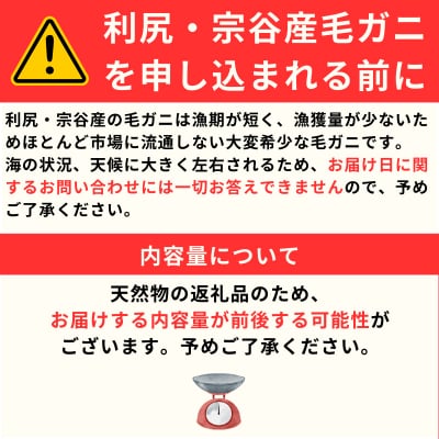 利尻・宗谷産  冷凍ボイル毛蟹 400g前後×1尾 [No5888-0758]